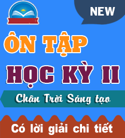 Ôn tập Học kỳ II (CTST_T11)